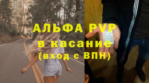 экстази Богданович