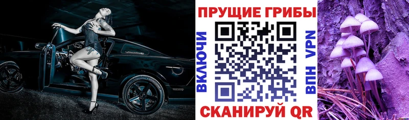 Псилоцибиновые грибы мухоморы Киржач